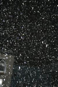 夜の雪（フラッシュをたいて撮影）