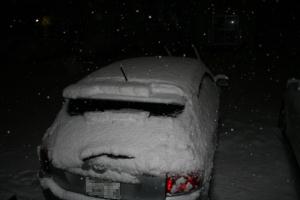 雪に埋もれていくランクス君…
